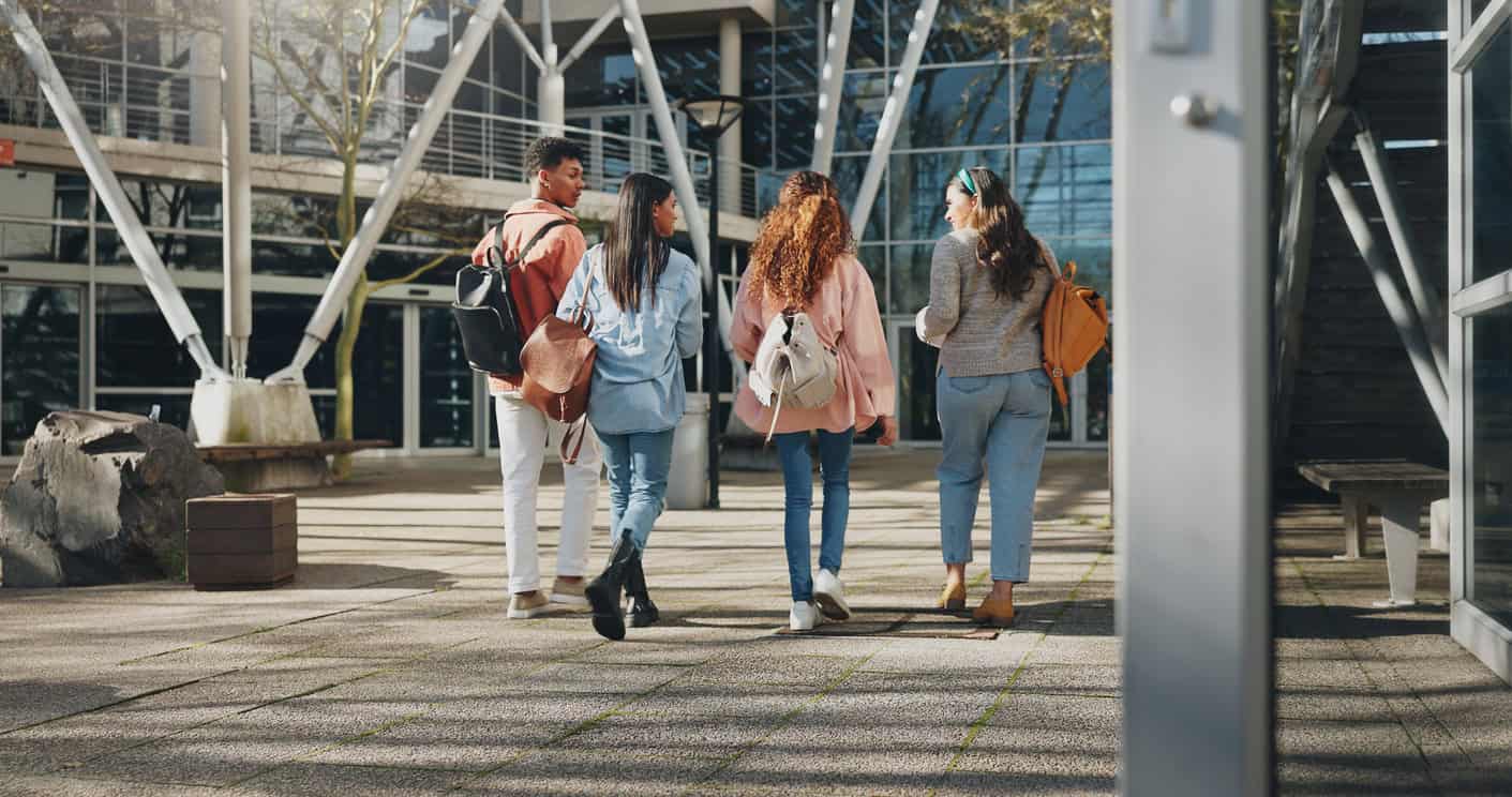 IDP warns of further student volume drops as revenue plummets