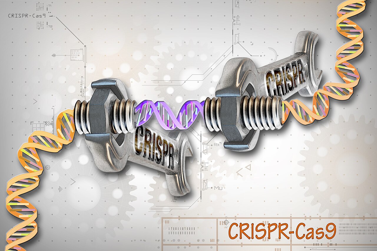 CRISPR：基因编辑的剪刀
