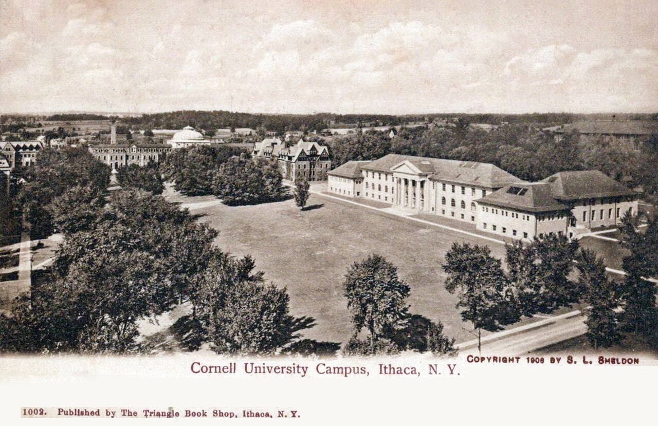 康奈尔大学